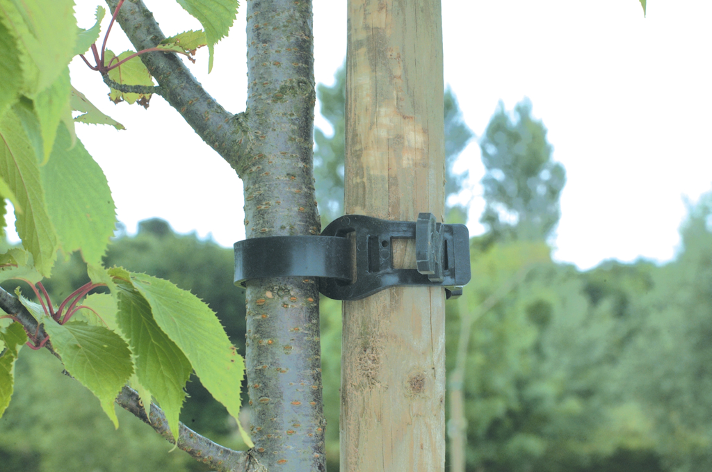 Tree Tie rubber clamp Tree Tie 55 cm