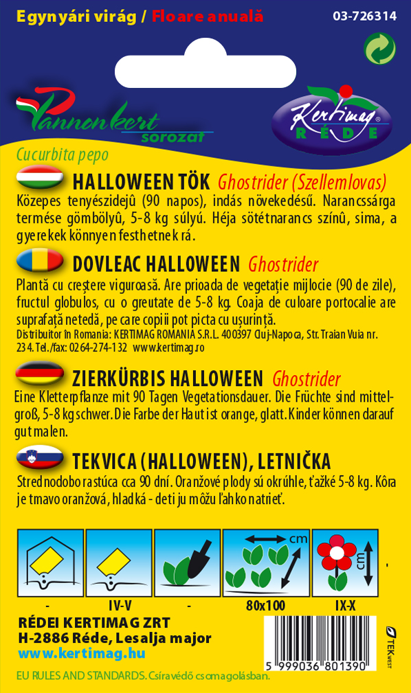 Dísztök Halloween tök