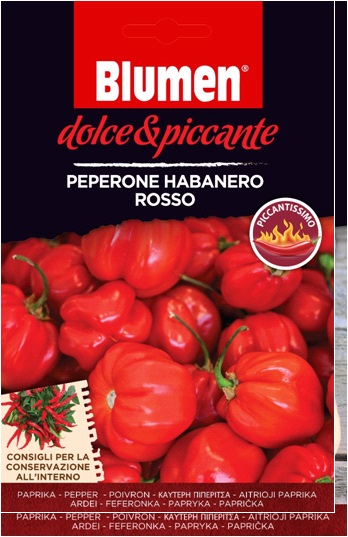 Roter Habanero-Pfeffer - extrem scharf Blume (ca. 10-20 Samen)