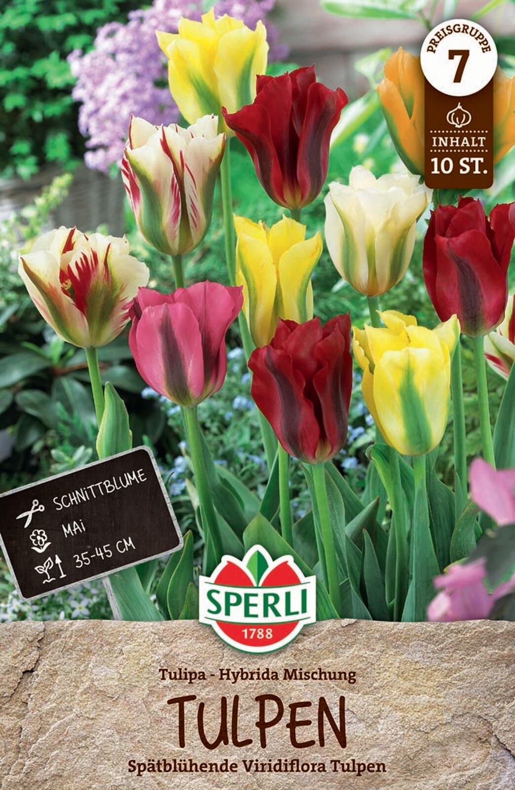 Zwiebel Tulpe Farbmix Viridiflora 10 Stück Sperli