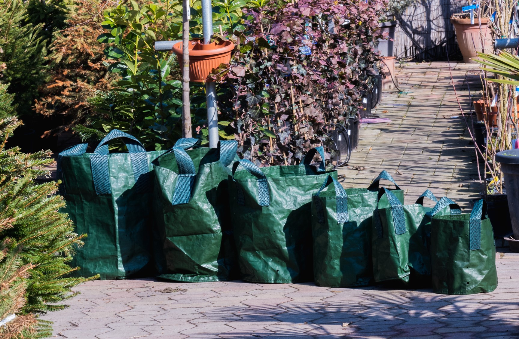 Tissue container (nursery) 50 l