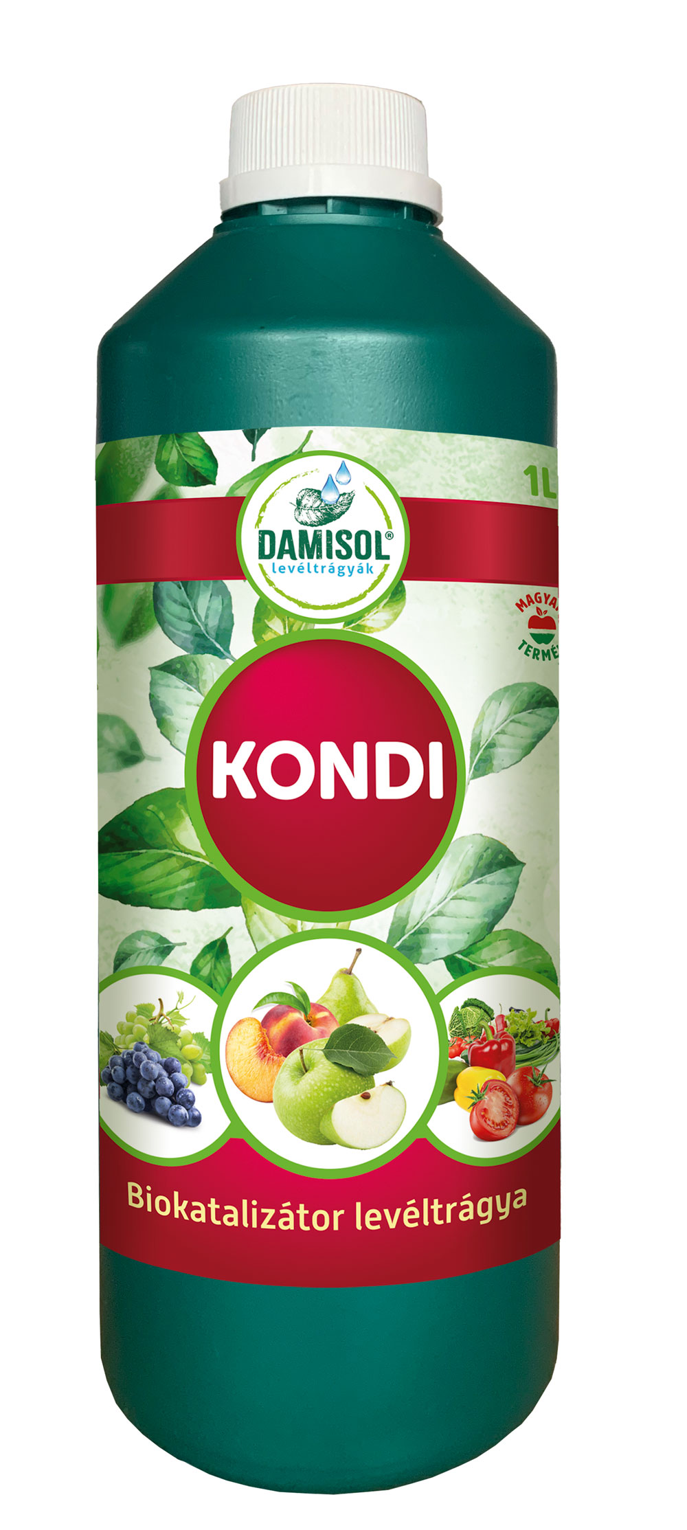 Damisol Condi 1 l