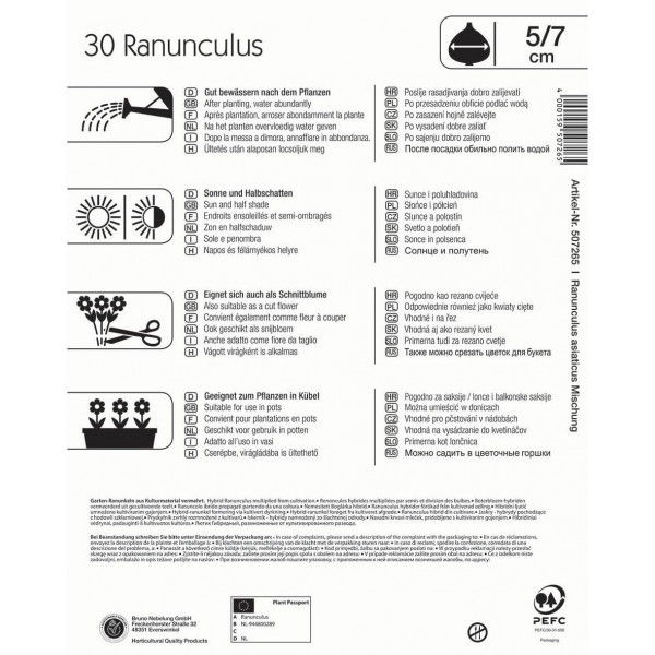 Virághagyma Boglárka (Ranunculus) Mega-Pack színkeverék Kiepenkerl 30 db