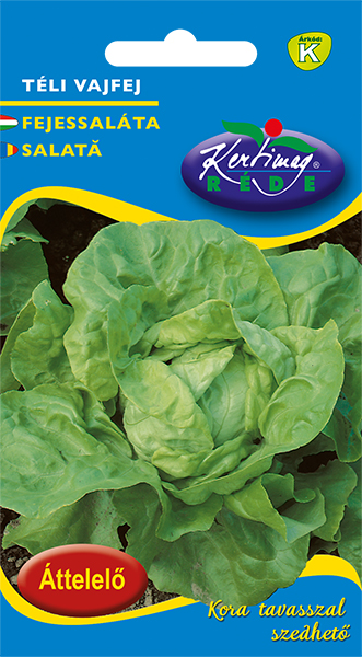 Kopfsalat Winterbutterkopf 2,5g