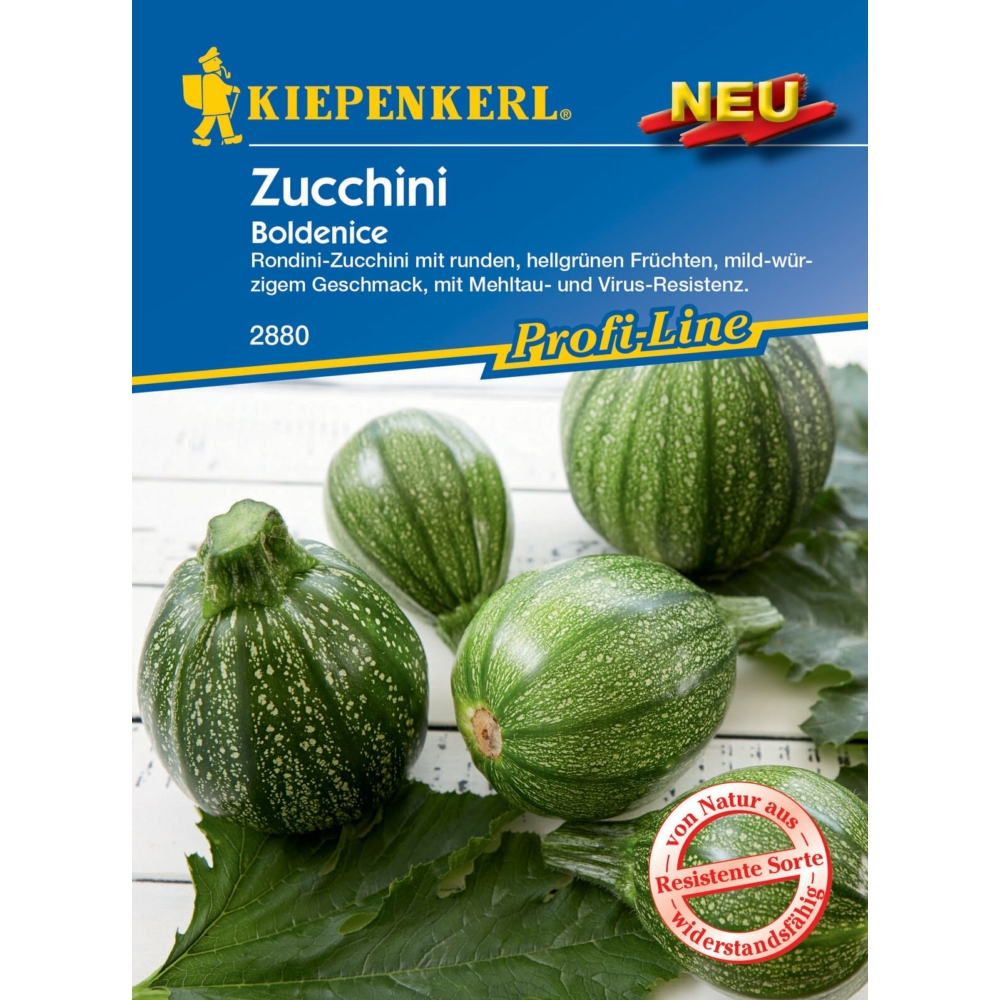 Zucchini Boldenice F1 Kiepenkerl ca. 5 Stk.