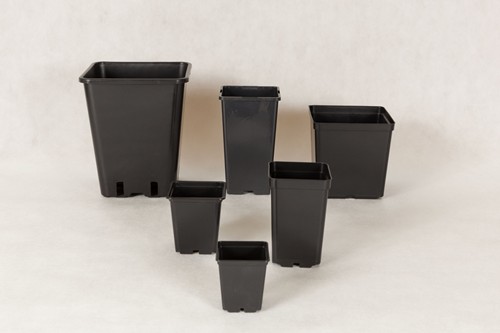 Plastic square pots 15x15x15 EX cm