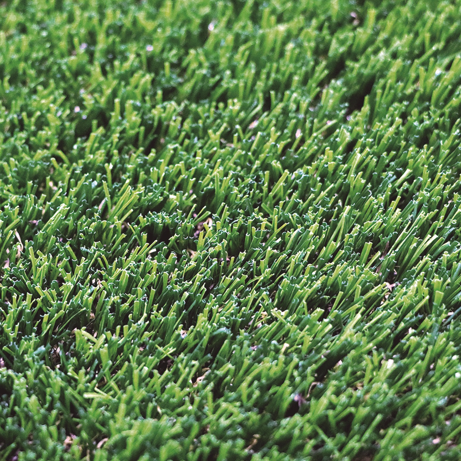 Artificial grass GREEN DENIA X-TRA 40 2x20 m 40 mm