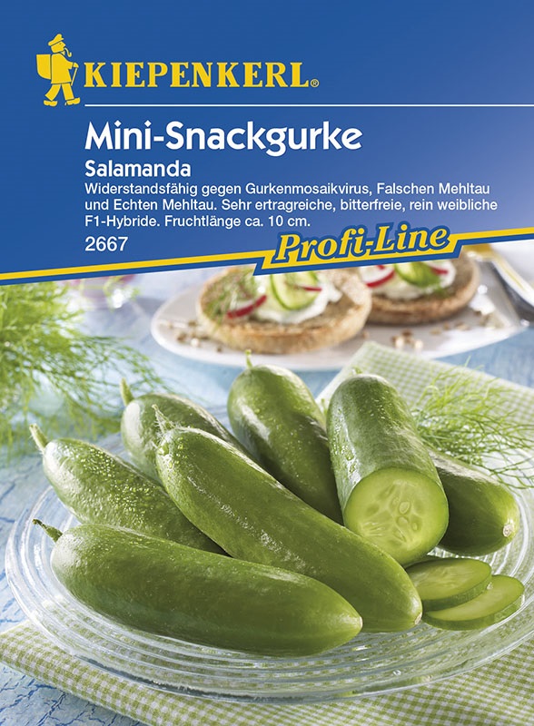 Mini-Snackgurke Salamanda F1 Kiepenkerl