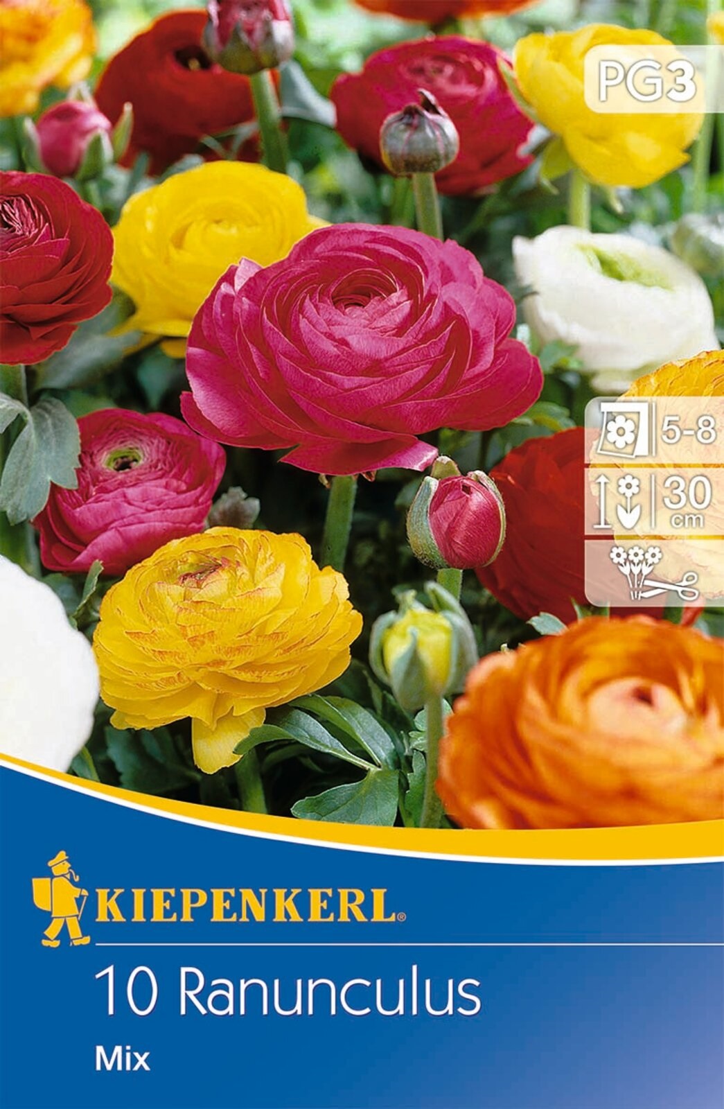 Bulb Buttercup colour mix Kiepenkerl 10 pcs