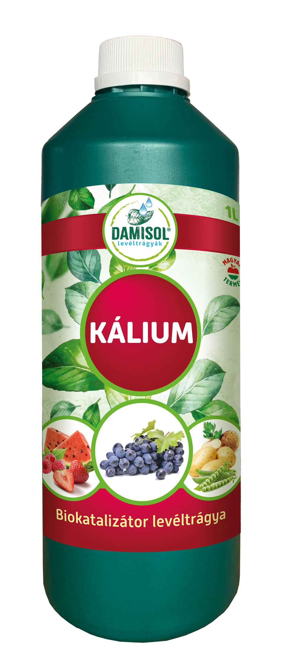 Damisol Kalium 1 l
