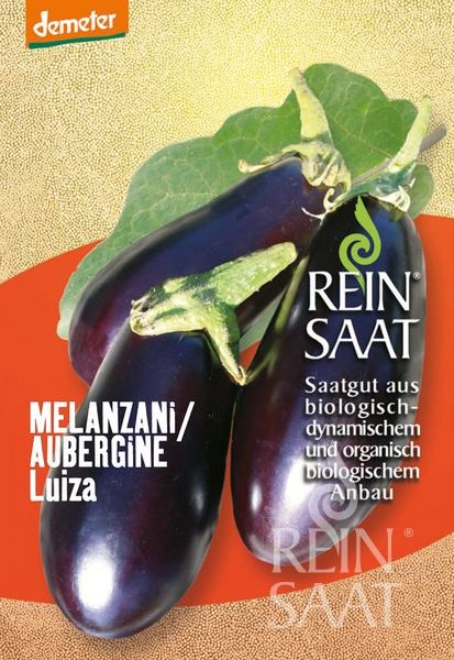 Aubergines organic Luiza Rein Saat approx. 40 seeds