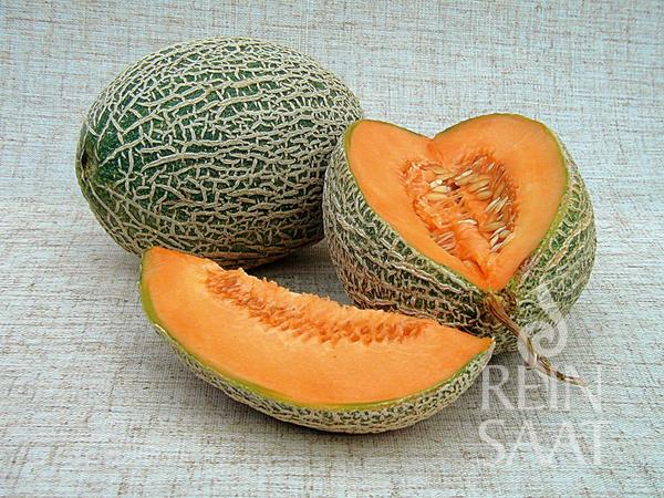 Cantaloupe organic Best Jumbo Pure Seed approx. 25 seeds