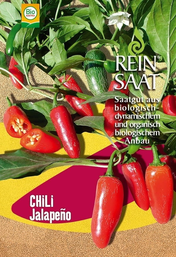 Chili paprika bio Ruben jalapeno Rein Saat kb. 30 db mag