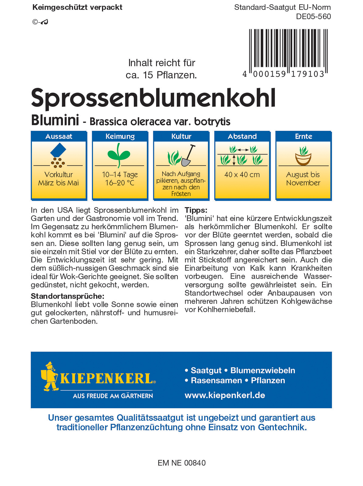 Blumenkohlblütenknospen Blumini F1 Kiepenkerl 15 Stück