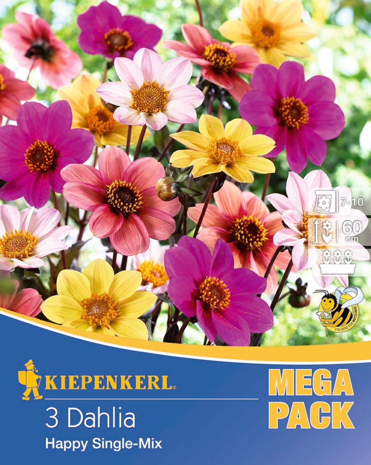 Bulb Dahlia Bedding Dahlia Happy Single Mix Kiepenkerl 3 pcs