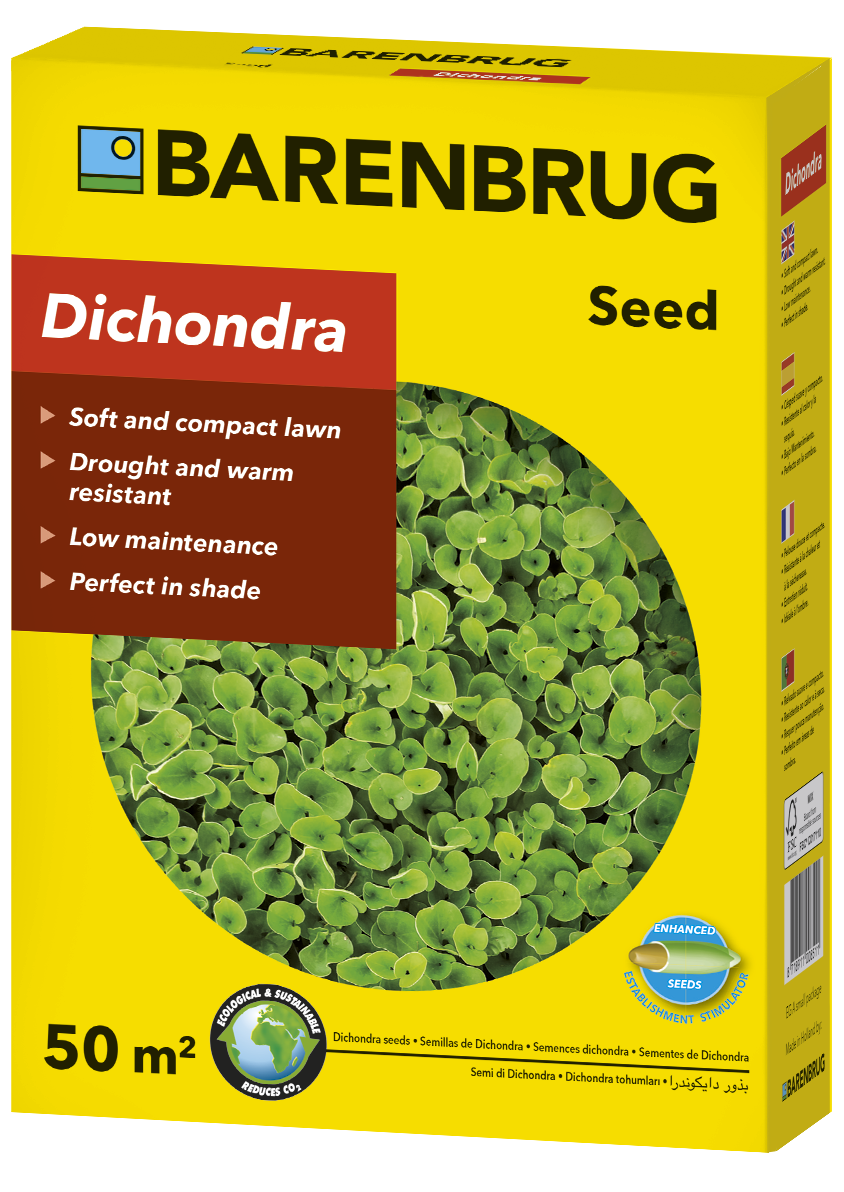 Bodendecker grüner Teppich-Dichondra repens Barenbrug 500 g