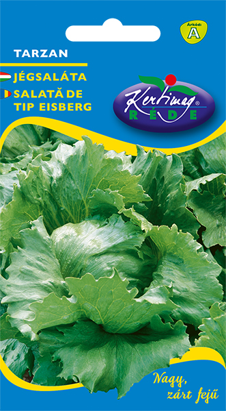 Iceberg lettuce Tarzan 3 g