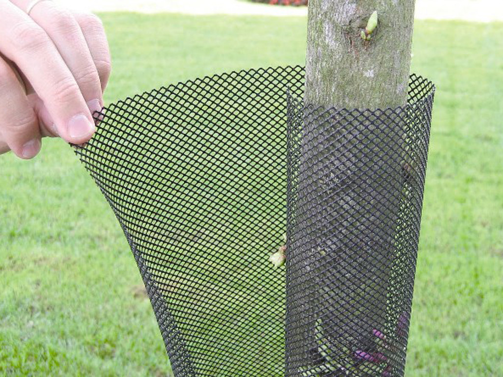 Tree protection grid Treex black 110cm (11 cm diameter)