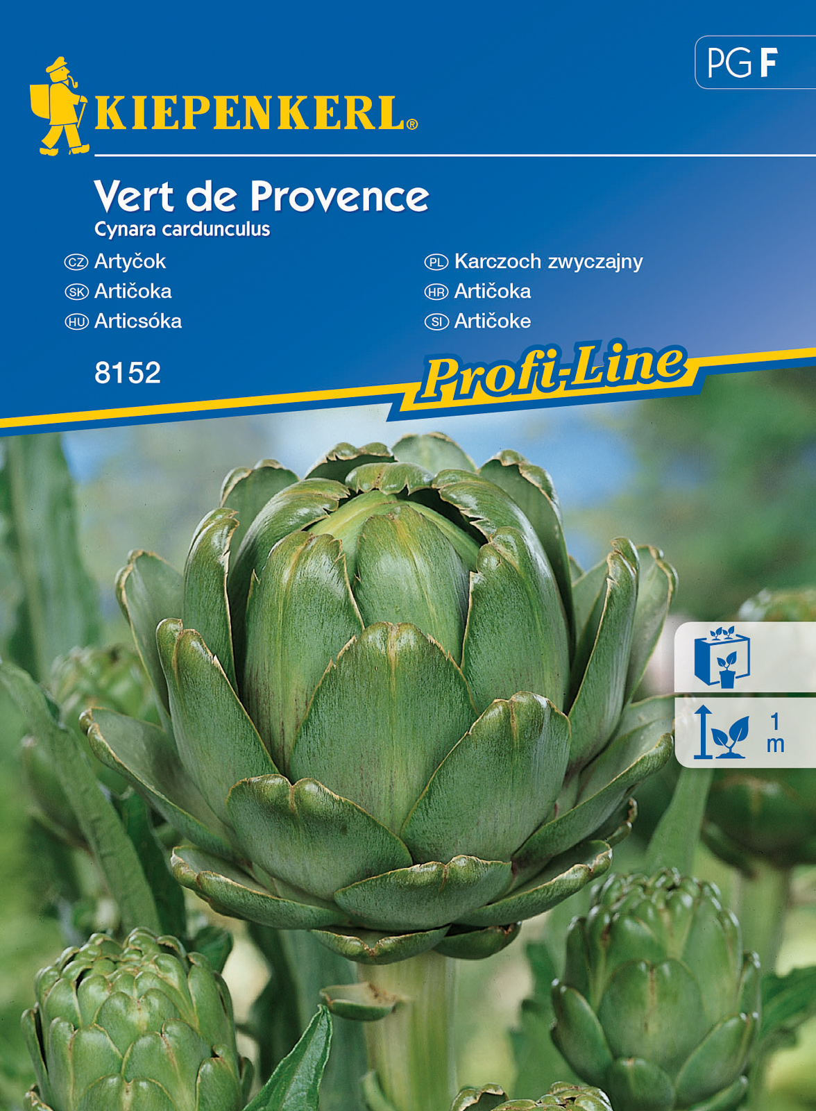 Artichokes Vert de provence 20 grains Kiepenkerl