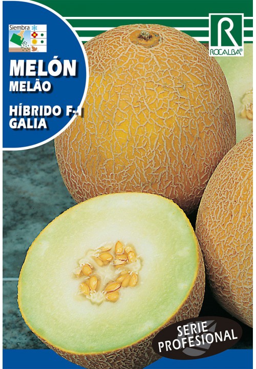 Cantaloupe Galia F1 (green flesh) Rocalba 0,5 g