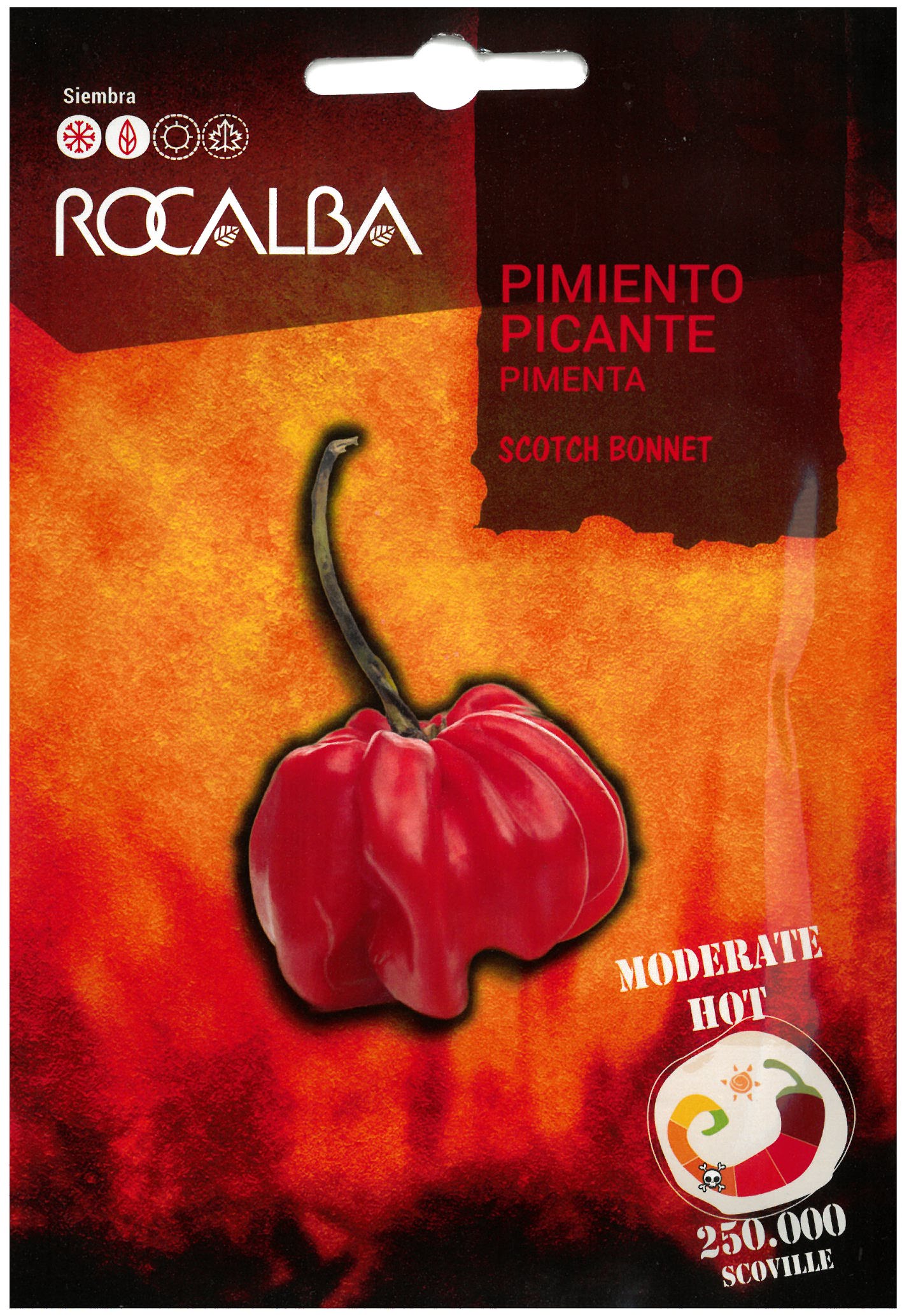 Chilischote Scotch Bonnet Rocalba 25 Körner