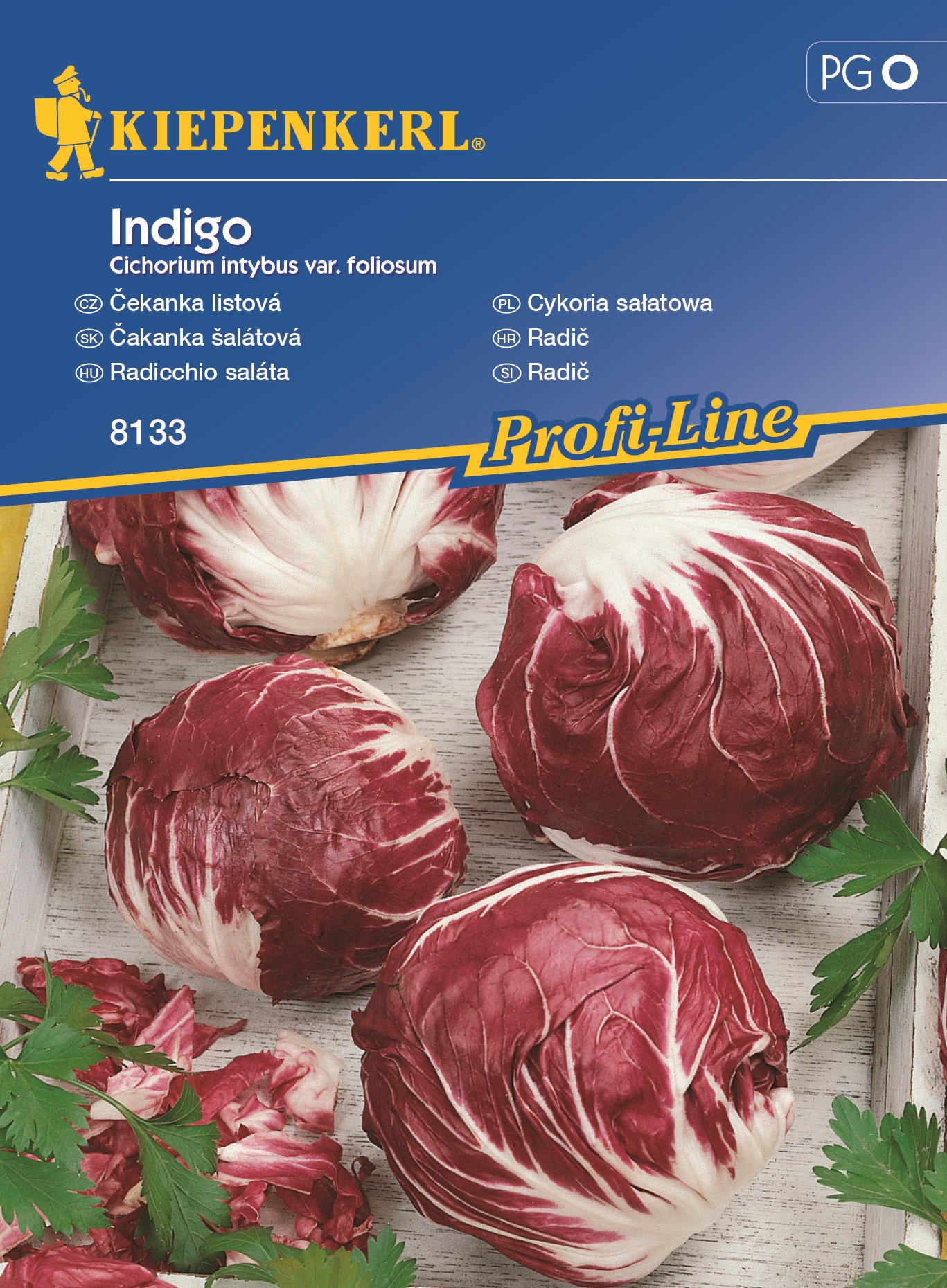 Kopfsalat Radicchio Indigo 40 Körner Kiepenkerl