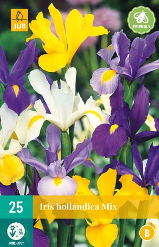 Bulb Iris hollandia (lady's blossom) mix 25 pieces JUB