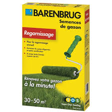 Grassamen Barenbrug SOS-Super Over Seeding 1 kg