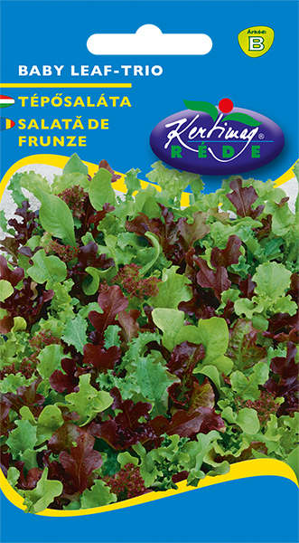 Kopfsalat-Trio Baby Leaf 3 g