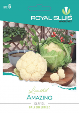 Blumenkohl Amazing 20 Körner Royal Sluis