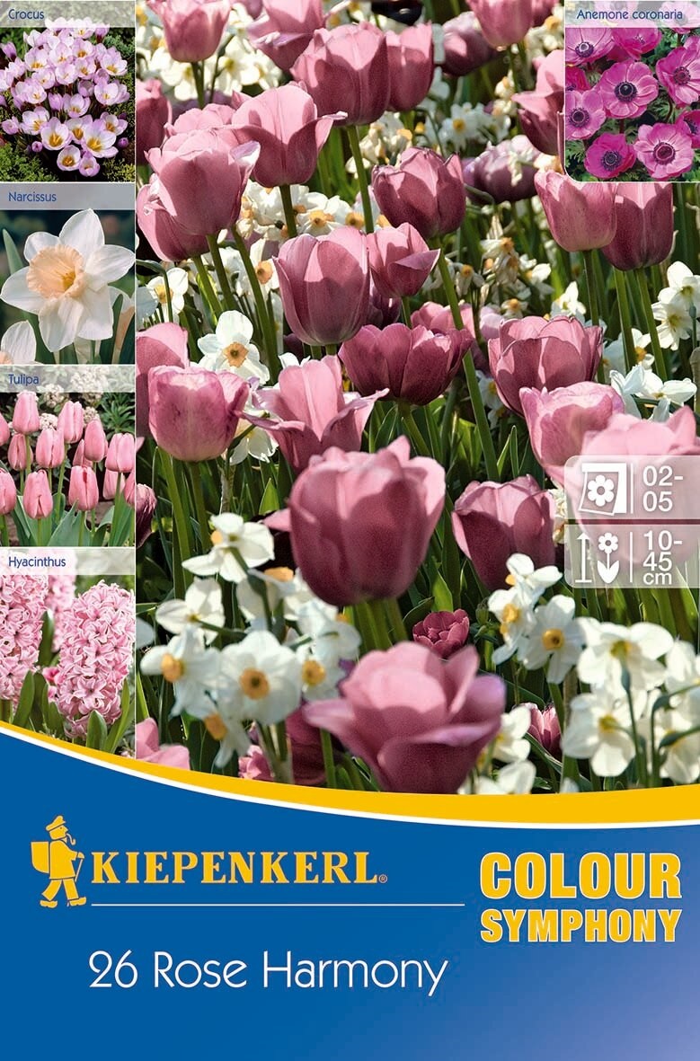 Colour Symphony Mega Pack Rose Harmony 26 Blumenzwiebeln Kiepenkerl