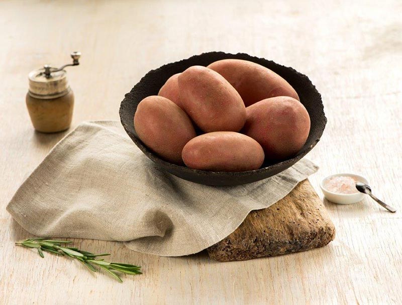 Kartoffelsamen Knolle "Sanibel" 50 Stück