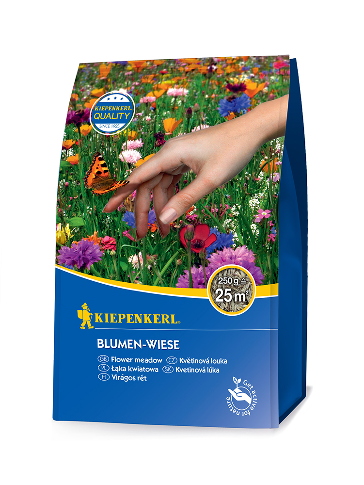 Grass seed Flowering meadow mixture Kiepenkerl 250 g