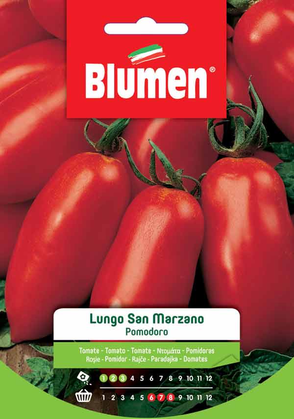 Paradicsom hosszú San Marzano Blumen 2 g