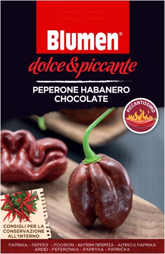 Schokoladen-Habanero-Pfeffer Blumen - extrem scharfe Blumen (ca. 10-20 Samen)