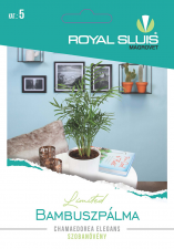 Bamboo Palm 15 seeds Royal Sluis