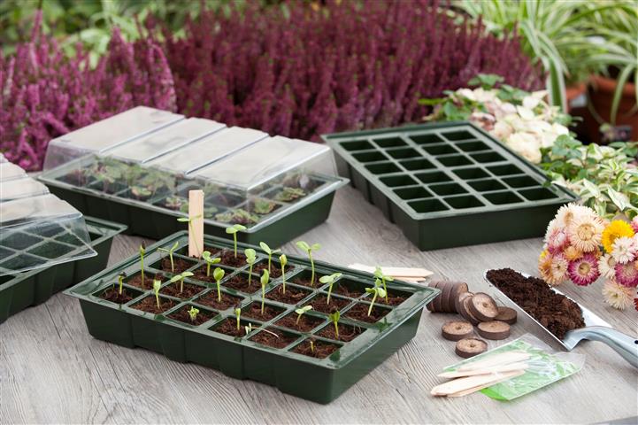 Germination tray set (with 4 propagation trays)