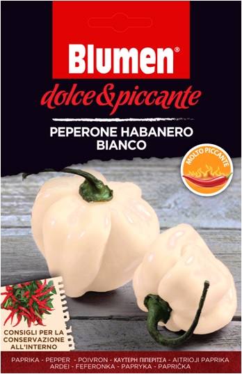 Weißer Habanero Pfeffer Blumen - extrem scharfe Blumen (ca. 10-20 Samen)