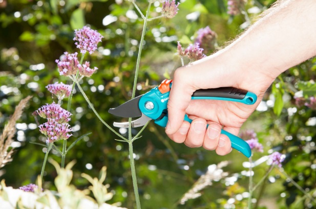 Garden pruning shears B/S