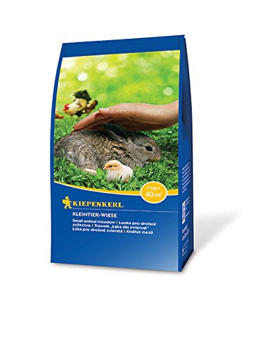 Grass seed Pet pasture Kiepenkerl 1 kg