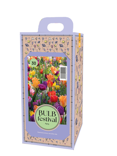 Bulbs in a box Tulip Festival Party 30 pieces JUB