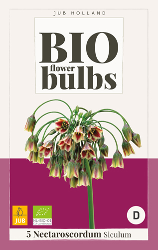 Blumenzwiebel BIO Blumenzwiebel Siculum 5 Stück JUB