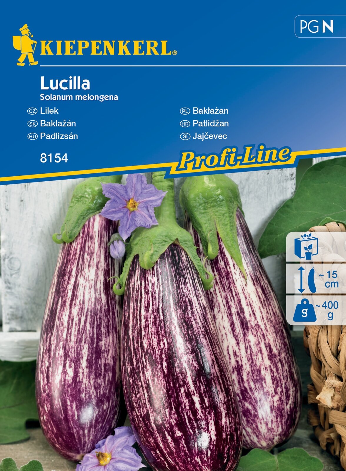 Aubergine Lucilla Kiepenkerl 8 Stück