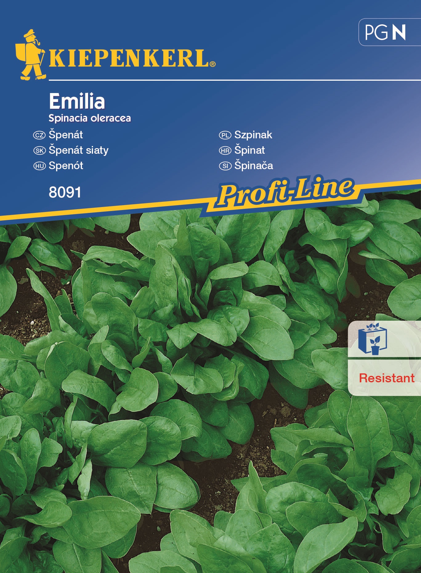 Summer spinach Emilia F1 Kiepenkerl for about 8 fm